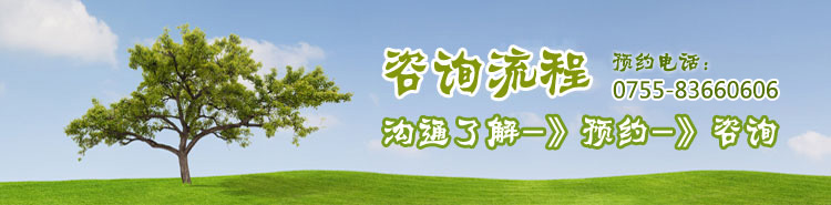 咨询流程